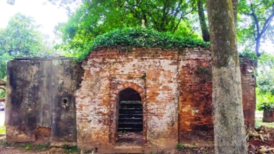 Untitled design (26)