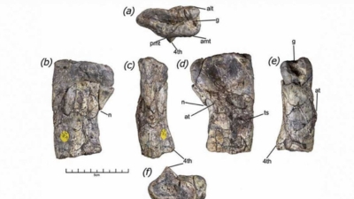 Untitled design (28)