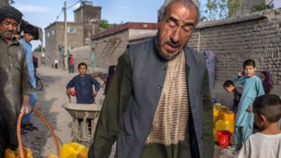 Untitled design (29)