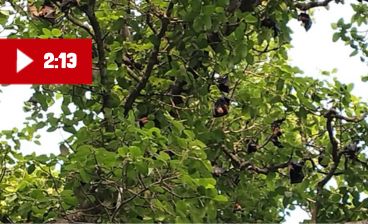 WhatsApp Image 2025-08-31 at 11.04.44 AM