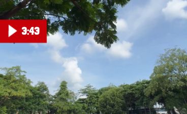 WhatsApp Image 2025-08-31 at 11.04.47 AM