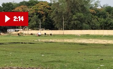 WhatsApp Image 2025-08-31 at 11.04.49 AM