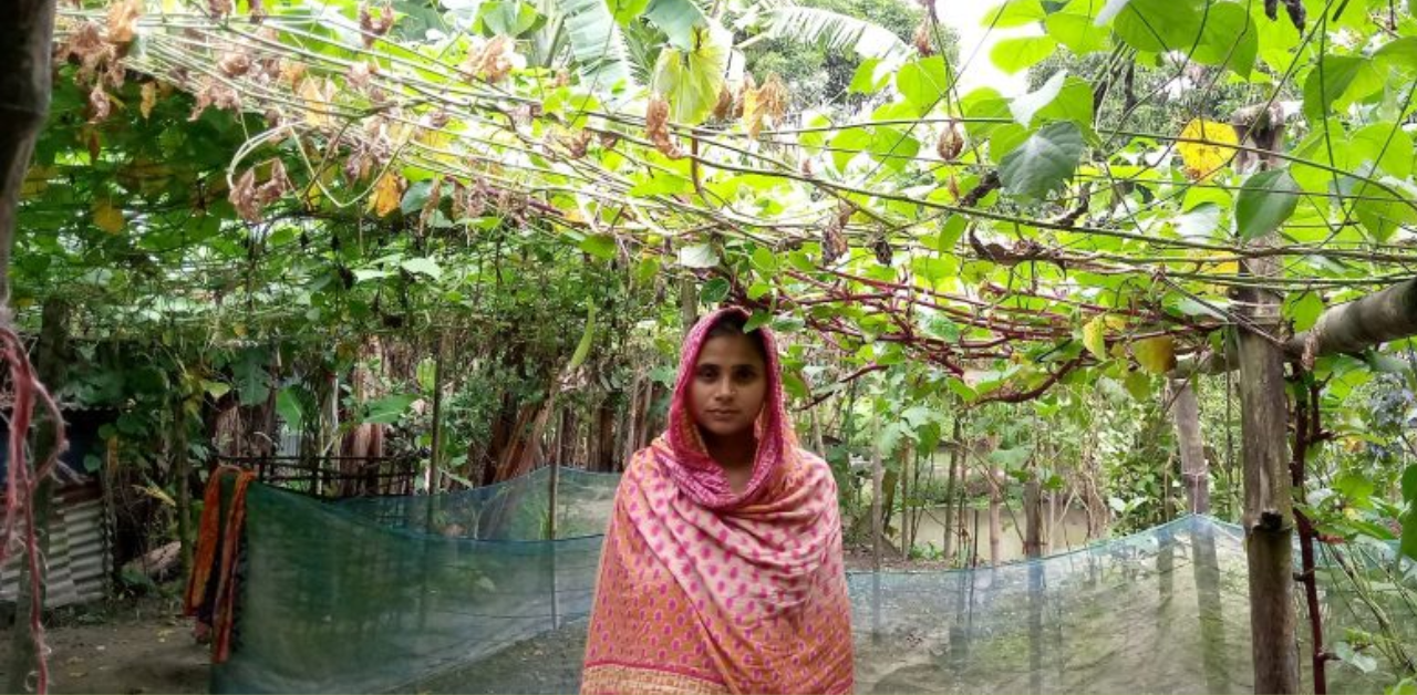 আমার উডানডা (উঠোন) সবুজে ভরা …