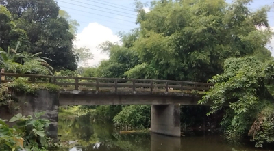 Untitled design (25)