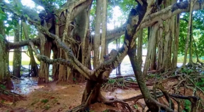 Untitled design (41)