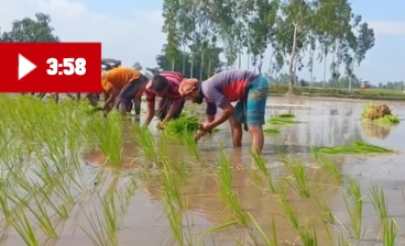 উন্নত শিক্ষা ব্যবস্থা থেকে বঞ্চিত পাহাড়ের শিশুরা (11)