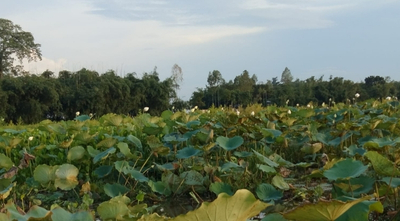 ওয়েবসাইট ছবি (2)