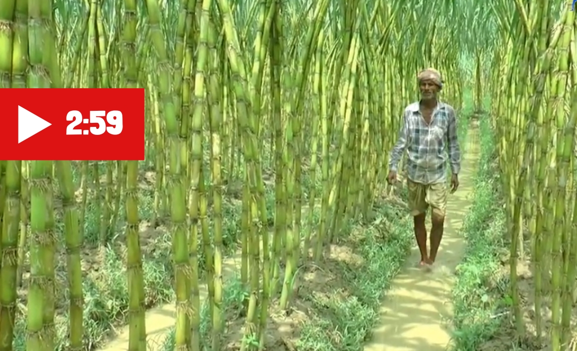 বাঁশের কারুকাজে গ্রামীণ ঐতিহ্যের জীবন্ত প্রদর্শনী “দারিয়াপুর হাট” (8)