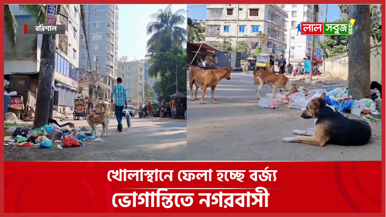 WhatsApp Image 2025-11-27 at 5.31.21 PM