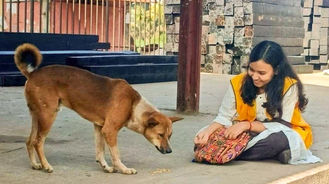 5d3b706981babe9c0ad68e420f867059-660ba7afab951