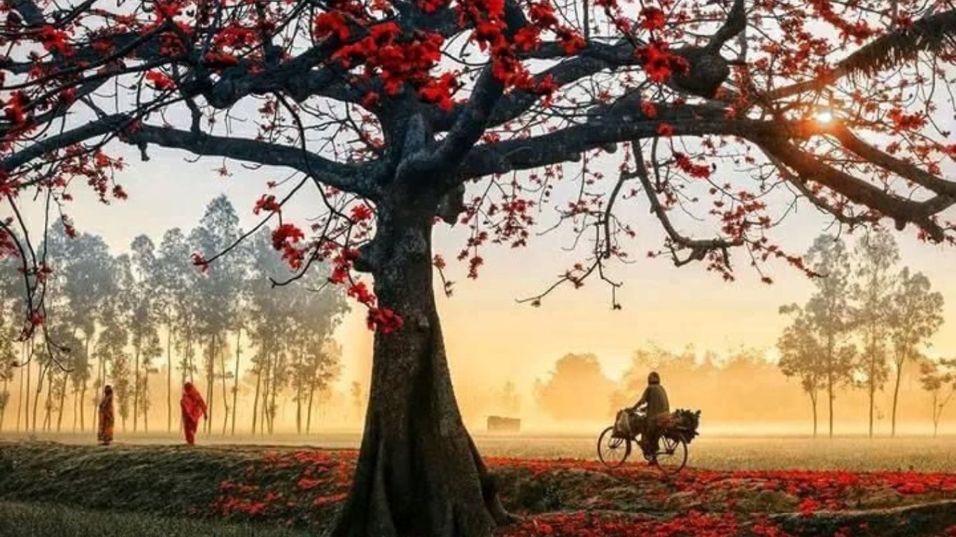 Untitled design (17)