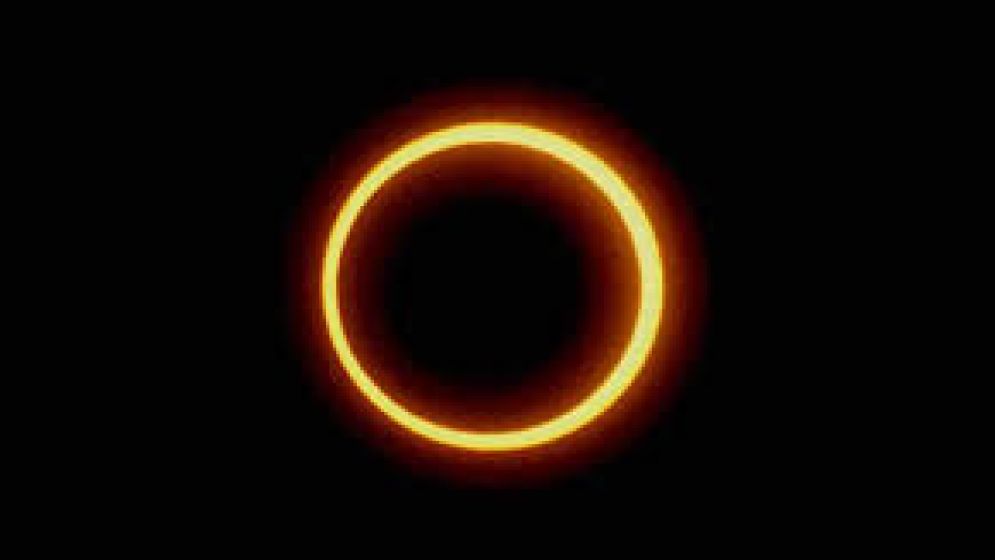 WhatsApp Image 2026-02-16 at 1.06.50 PM