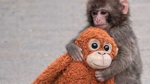 prothomalo-bangla_2026-02-24_s6j6cssd_Punch-cómo-el-apego-ayuda-al-cerebro-a-superar-el-abandono-_Un