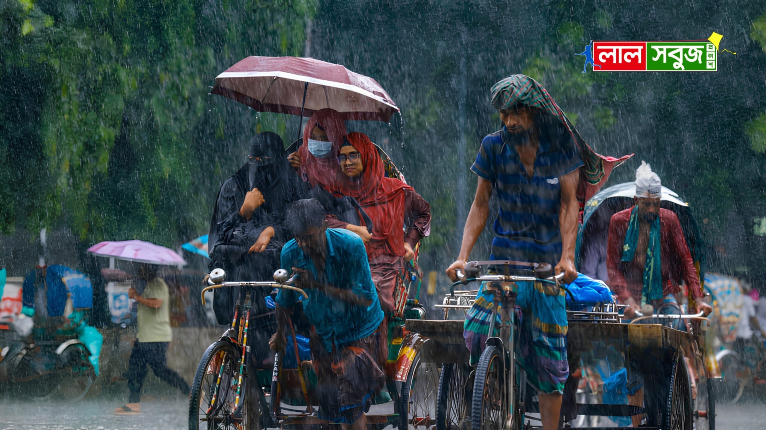 Rain